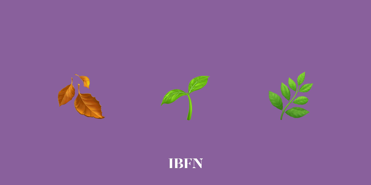 A escolha de solo ideal para plantas de interior