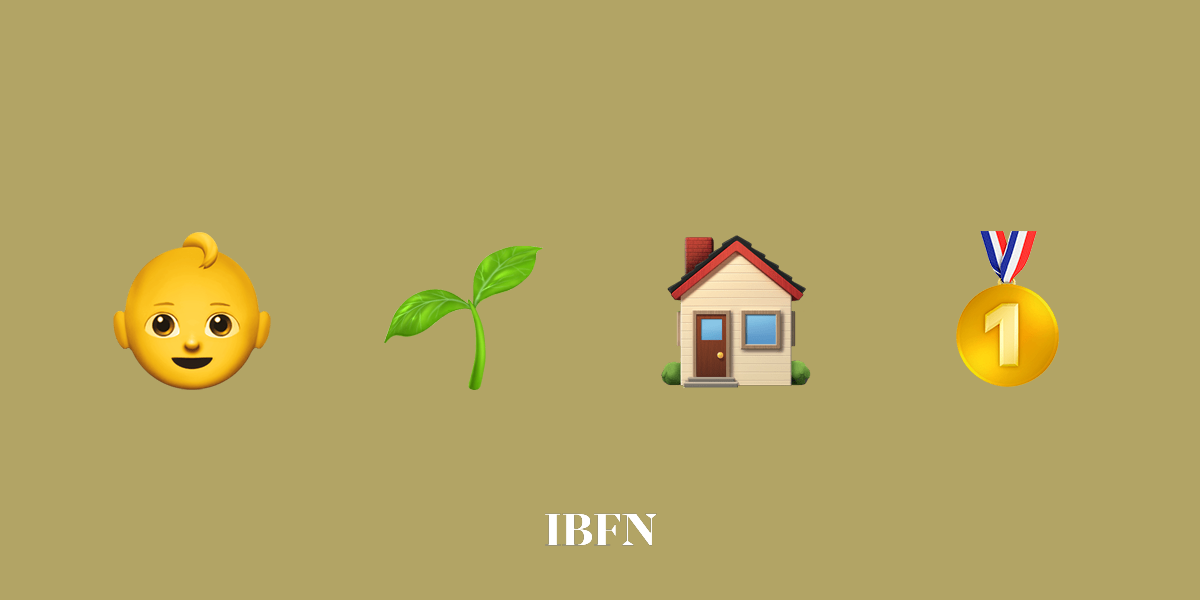 Melhores Plantas de Interior para Iniciantes