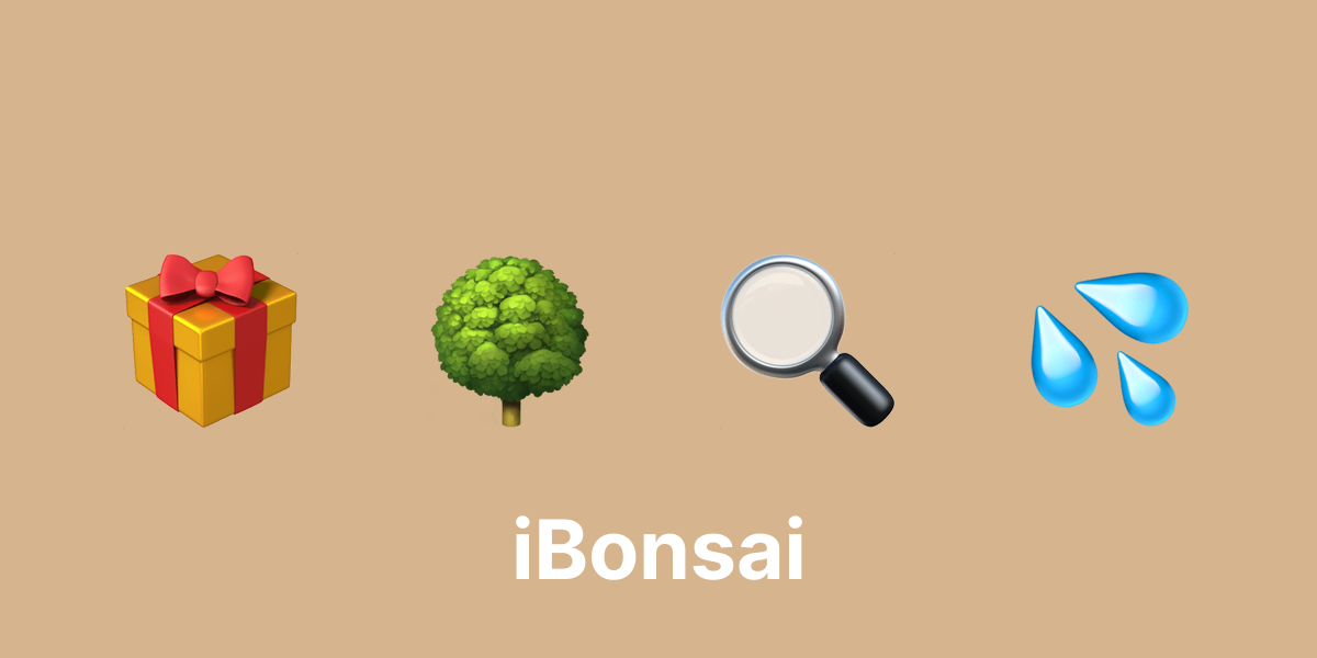 Bonsai como presente: dicas de escolha e cuidados essenciais